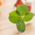 人間関係